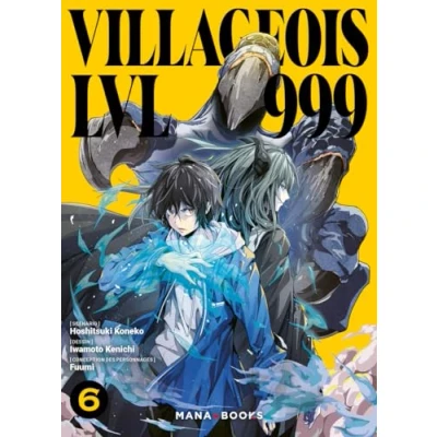 Afbeelding van VILLAGEOIS LVL 999,06