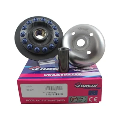 Afbeelding van J.COSTA Piaggio Pro Dimmer 400cc 500cc