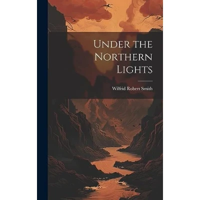 Afbeelding van Under the Northern Lights