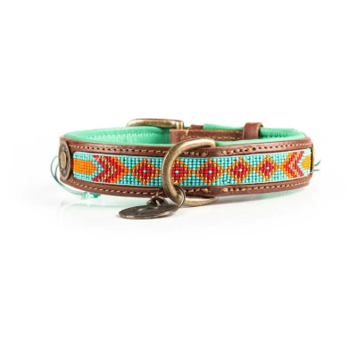 Afbeelding van Dwam Halsband Paddy Lee Turquoise Hondenhalsband 29 33x2.5 cm