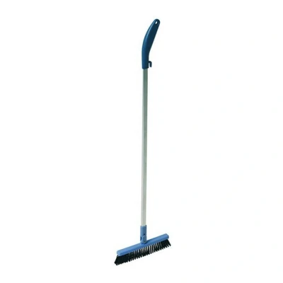 Afbeelding van Vileda Dustpan Borstel