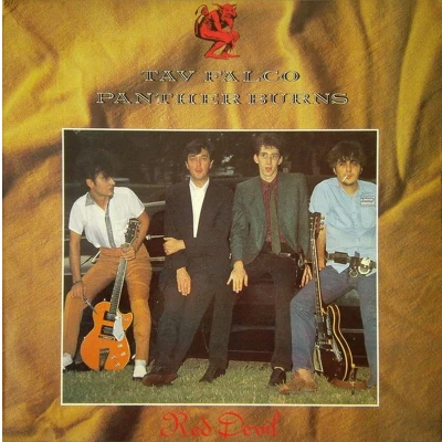 Afbeelding van Tav Falco &amp; Panther Burns Red Devil (CD)