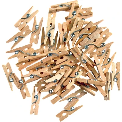 Afbeelding van Bouhon mini wasknijper, zakje van 48 stuks
