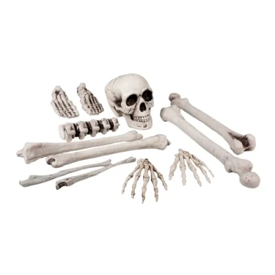 Afbeelding van Boland 12 stuks Doodshoofd en beenderen (25 cm) Horror
