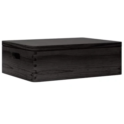Afbeelding van vidaXL Houten kist met deksel&amp;handvatten 40x30x13cm grenenhout zwart