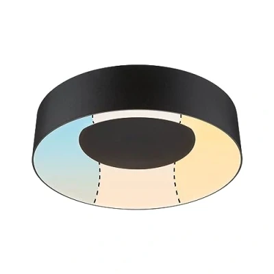 Afbeelding van Paulmann 71096 Casca LED plafondlamp 16 W Zwart (mat)