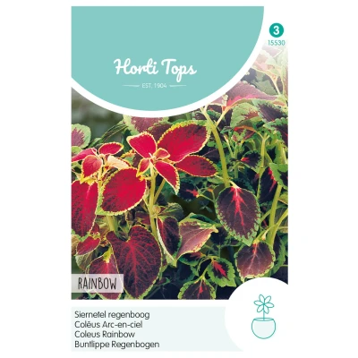 Afbeelding van Coleus Blumei Regenboogmengsel Hortitops