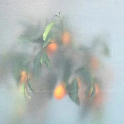 Afbeelding van U Ziq &amp; Mrs Jynx Secret Garden (CD)