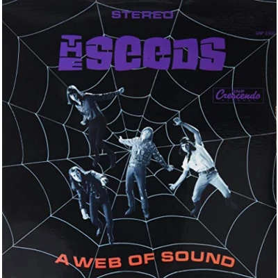 Afbeelding van A Web Of Sound
