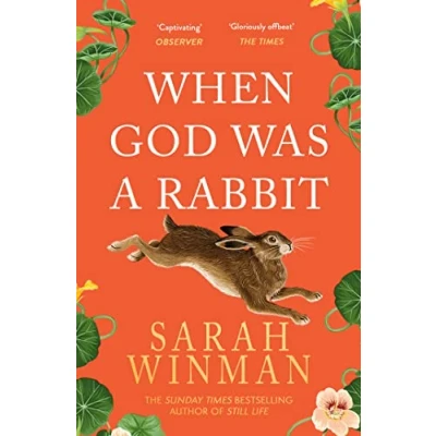 Afbeelding van When God Was a Rabbit