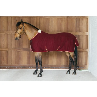 Afbeelding van Zweetdeken PROTherm bordeaux 125 5&#039;9