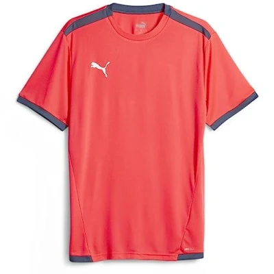 Afbeelding van Puma Teamliga Sport Tshirt, Heren, Maat: Medium, Fire orchid