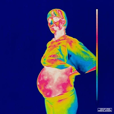 Afbeelding van Brockhampton Iridescence (2 LPs)