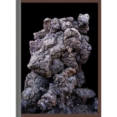 Afbeelding van Imaginary Ecologies