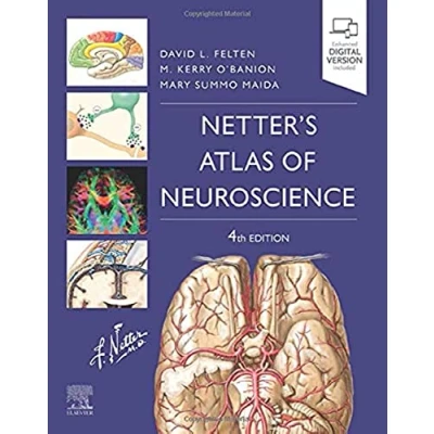 Afbeelding van Netter&#039;s Atlas of Neuroscience