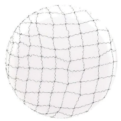 Afbeelding van Sinelco Nylon haarnetje grijs 2st Haibu by Kapperskorting.com