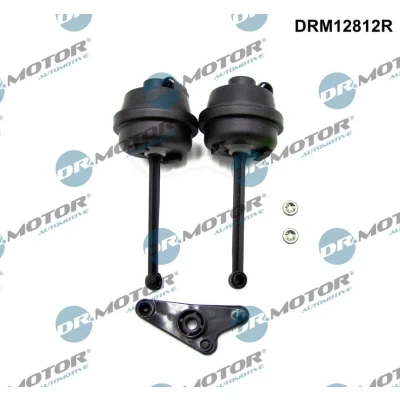 Afbeelding van Reparatieset, zuigbuismodule Dr.Motor Automotive DRM12812R