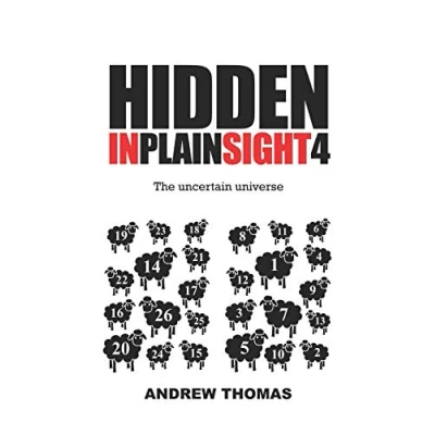 Afbeelding van Hidden In Plain Sight 4