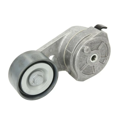Afbeelding van DAYCO APV1097 Riemspanner