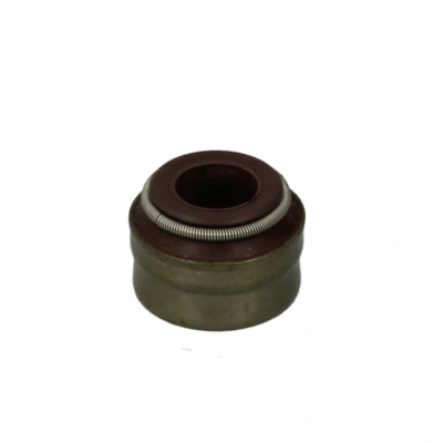 Afbeelding van REINZ 70 37802 00 Klepsteelrubbers