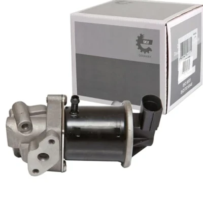 Afbeelding van ESEN SKV 14SKV074 EGR klep Electrisch