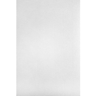 Afbeelding van Netuno 20 x wit geribbeld karton A4 297 210 mm 220 g Aster Laid White decoratief papier hoge kwaliteit structuurpapier voor decoratie documenten uitnodigingen diploma&#039;s