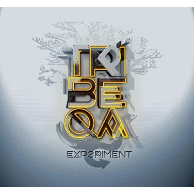 Afbeelding van Tribeqa Exp3riment Remixes (LP) (Limited Edition) (Coloured Vinyl)
