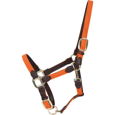 Afbeelding van Kentucky Halster Gevlochten Nylon Oranje Cob Agradi.be