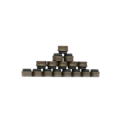 Afbeelding van Payen Klepsteeldichting HR5048