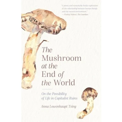 Afbeelding van the Mushroom at End of World