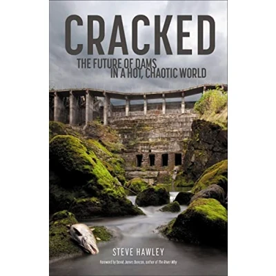 Afbeelding van Cracked