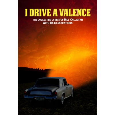Afbeelding van Bill Callahan I Drive A Valence