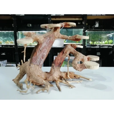 Afbeelding van Superfish Bonsai Planter Large
