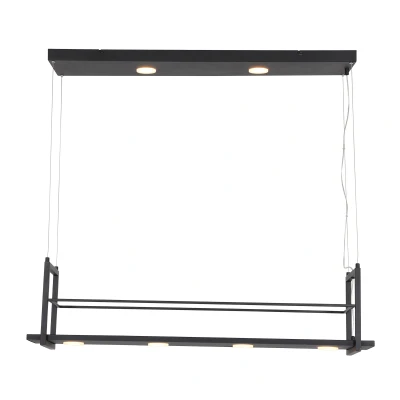 Afbeelding van Anne Light &amp; Home Hanglamp Tør Zwart Led 3298ZW