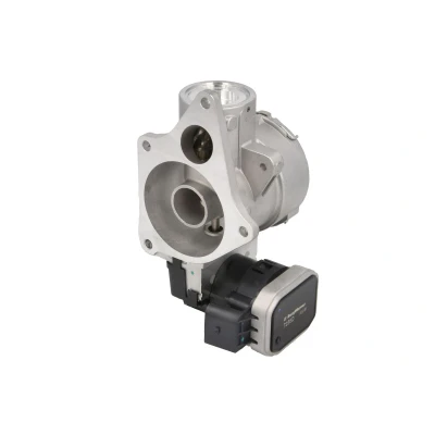 Afbeelding van Wahler EGR klep 7256D
