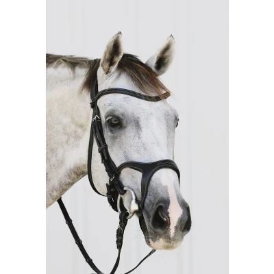 Image de Montar Bride Monarch Saut en Cuir Écologique Marron Poney