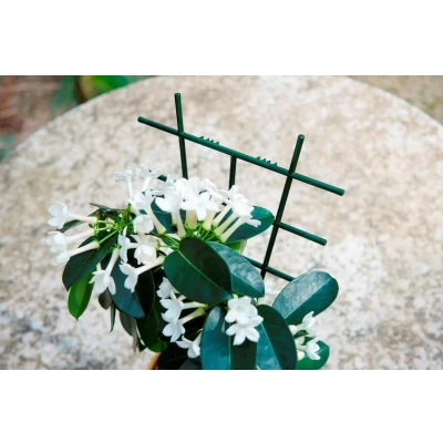 Afbeelding van Klimrek planten 37 x 23 cm (2 stuks, Kunststof)