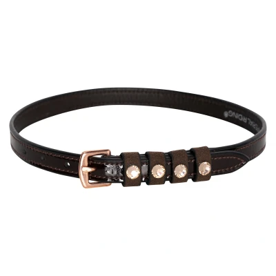 Image de Spur strap leather Pardouz