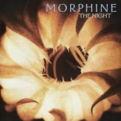 Afbeelding van Morphine The Night (2 LP) (Coloured Vinyl)