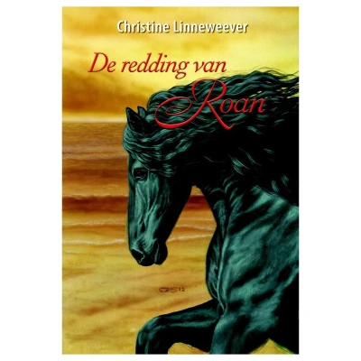Afbeelding van De redding van Roan