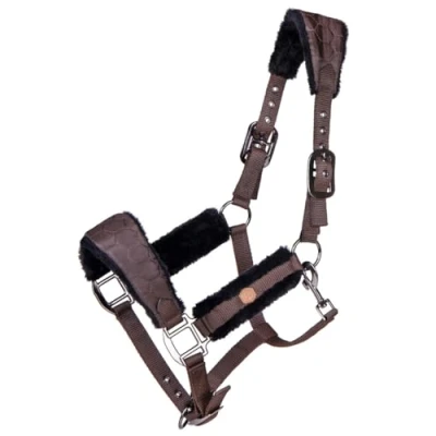 Image de QHP Halter Classy