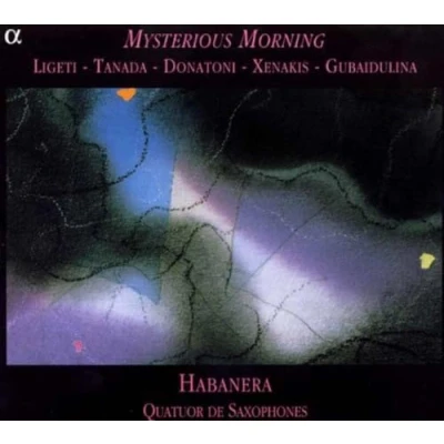 Afbeelding van Habanera Quatuor Mysterious Morning (CD)