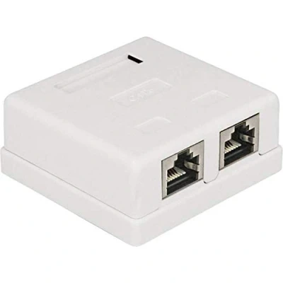 Image de Delock Modular Wall Outlet Prise Pour Montage En Surface Rj 45 X 2 Blanc