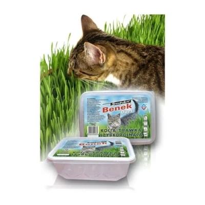 Afbeelding van Eten Certech 10319