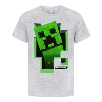 Afbeelding van Minecraft Green Creeper Kids Top Grijs T shirt met korte mouwen, grijs.