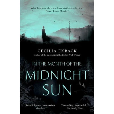 Afbeelding van In the Month of Midnight Sun