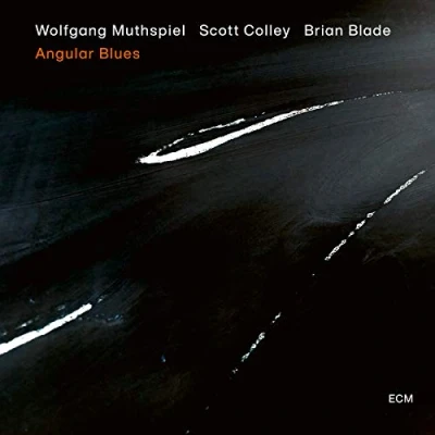 Afbeelding van Wolfgang Muthspiel Angular Blues (LP)
