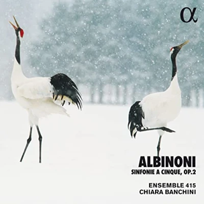 Afbeelding van Chiara Banchini &amp; Ensemble 415 Albinoni: Sinfonie A Cinque, Op. 2 (CD)