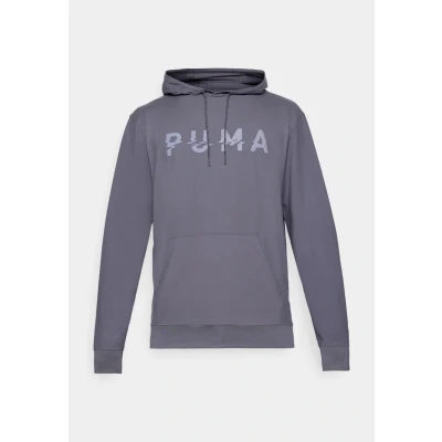 Afbeelding van Puma Cloudspun Branded Hoodie, Heren, Maat: Small, Galactic gray
