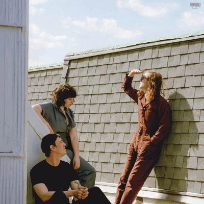 Afbeelding van Fall Into The Sun (LP) (Coloured Vinyl)